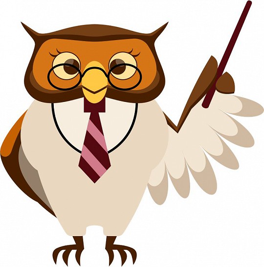 Harry Potter Owls