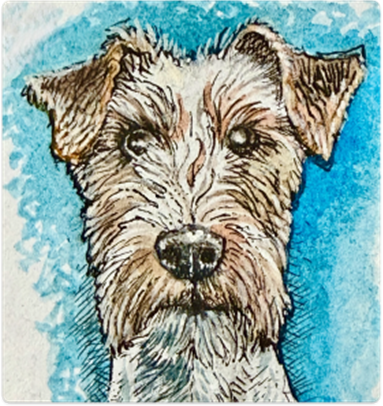 Watercolor & Ink Essentials Workshop