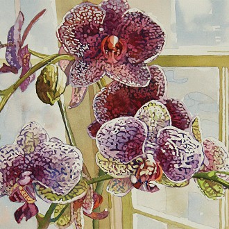 Spotted           watercolor                   Artist:  KATHRYN WEDGE  Patterns on subjects in a painting are difficult to achieve. This artist did an excellent job keeping the focus on the orchids as a whole and not allowing the pattern to become distracting. Beautifully painted.